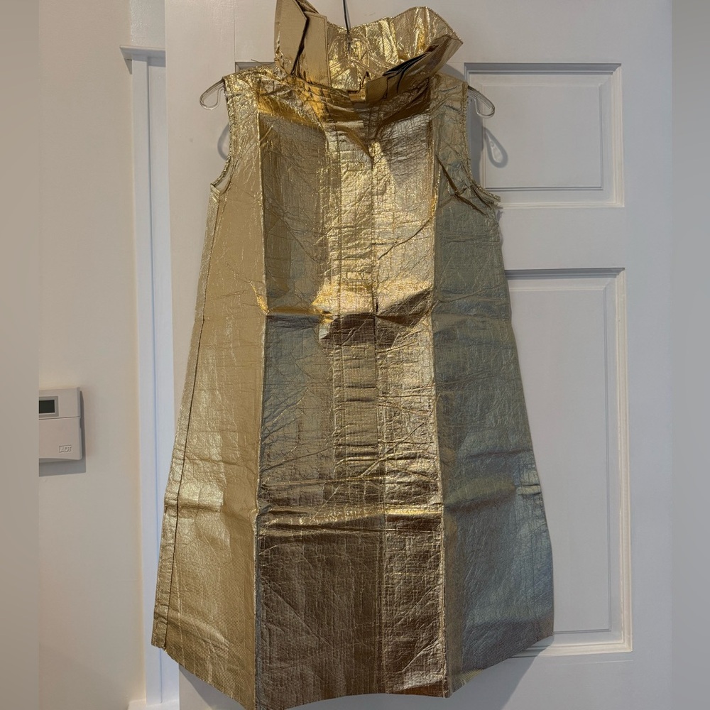 Rare, TWA, Elisa Daggs gold, metallic paper dress